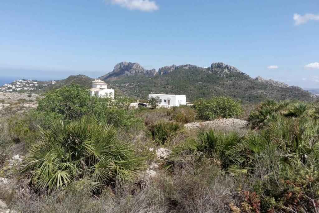 Villa El Sol Blanco Ráfol de Almunia Esterno foto